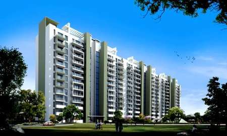Caladium Gurgaon